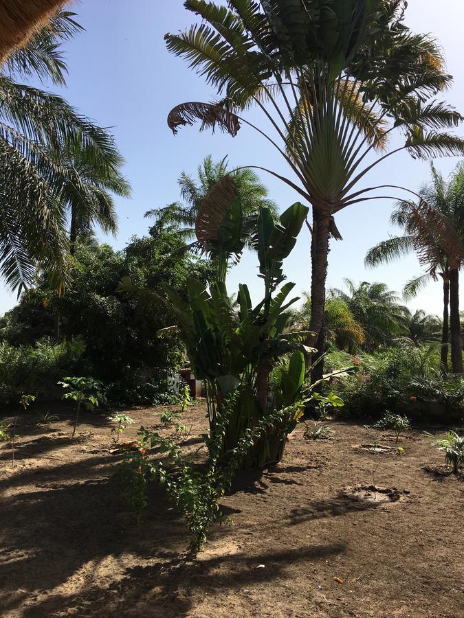 Les Maisons De Marco Senegal - B&B Cap Skirring Exterior foto