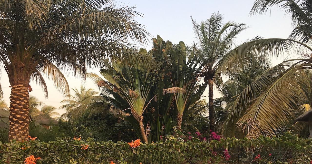 Les Maisons De Marco Senegal - B&B Cap Skirring Exterior foto