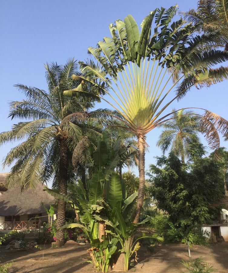 Les Maisons De Marco Senegal - B&B Cap Skirring Exterior foto