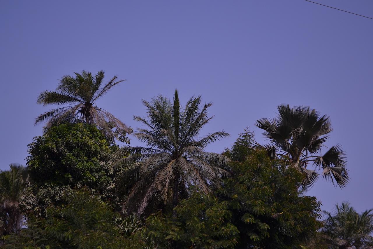 Les Maisons De Marco Senegal - B&B Cap Skirring Exterior foto
