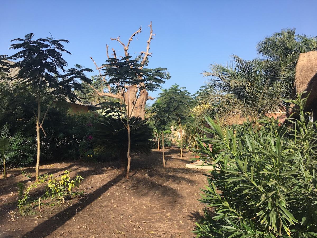 Les Maisons De Marco Senegal - B&B Cap Skirring Exterior foto